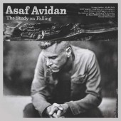 Avidan Asaf - Study On Falling (2017) 