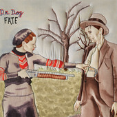 Dr. Dog - Fate /Vinyl 