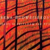 Irena Budweiserová - Něškdy si připadám jak pták 