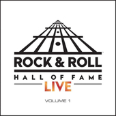 VARIOUS/ROCK - Rock & Roll Hall Of Fame: Live, Vol. 1 - Vinyl 