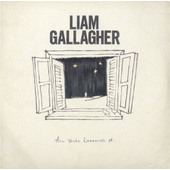Liam Gallagher - All You're Dreaming Of (Black Single, 2021) - 7" Vinyl