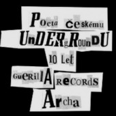 VARIOUS/ROCK - Pocta českému undergroundu (2DVD, 2014)