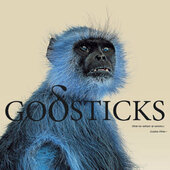 Godsticks - This Is What A Winner Looks Like (2023) /Digipack