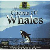 Andris Roca - Chorus Of Whales 