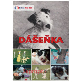 Film/Seriál ČT - Dášeňka (DVD)